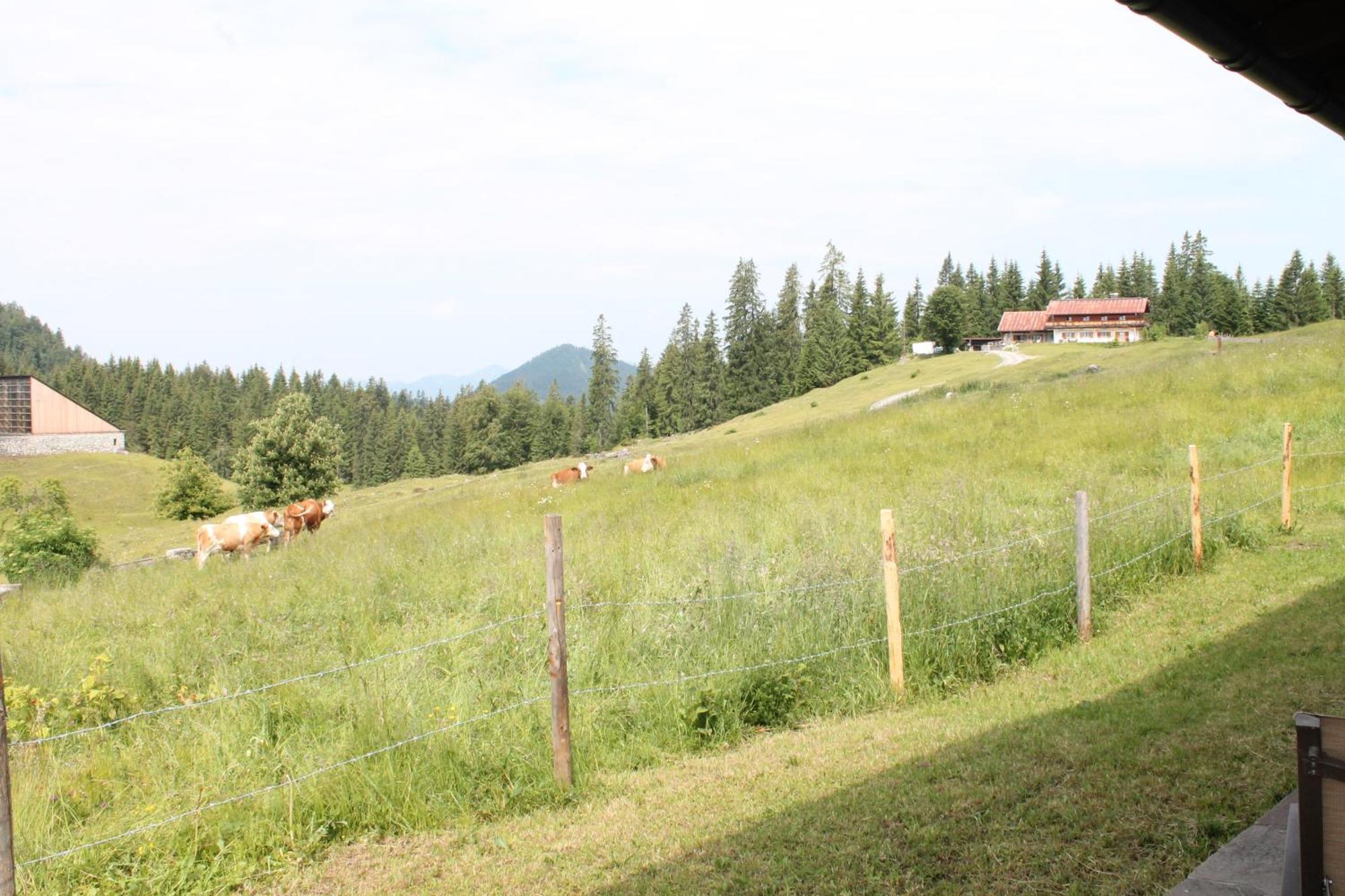 Готель Winklmoos Sonnenalm Райт-ім-Вінкль Екстер'єр фото